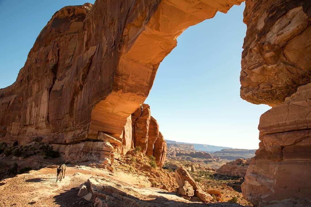 Dog-Friendly Hikes in Utah