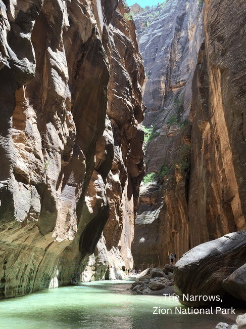 The Narrows, Zion National Park