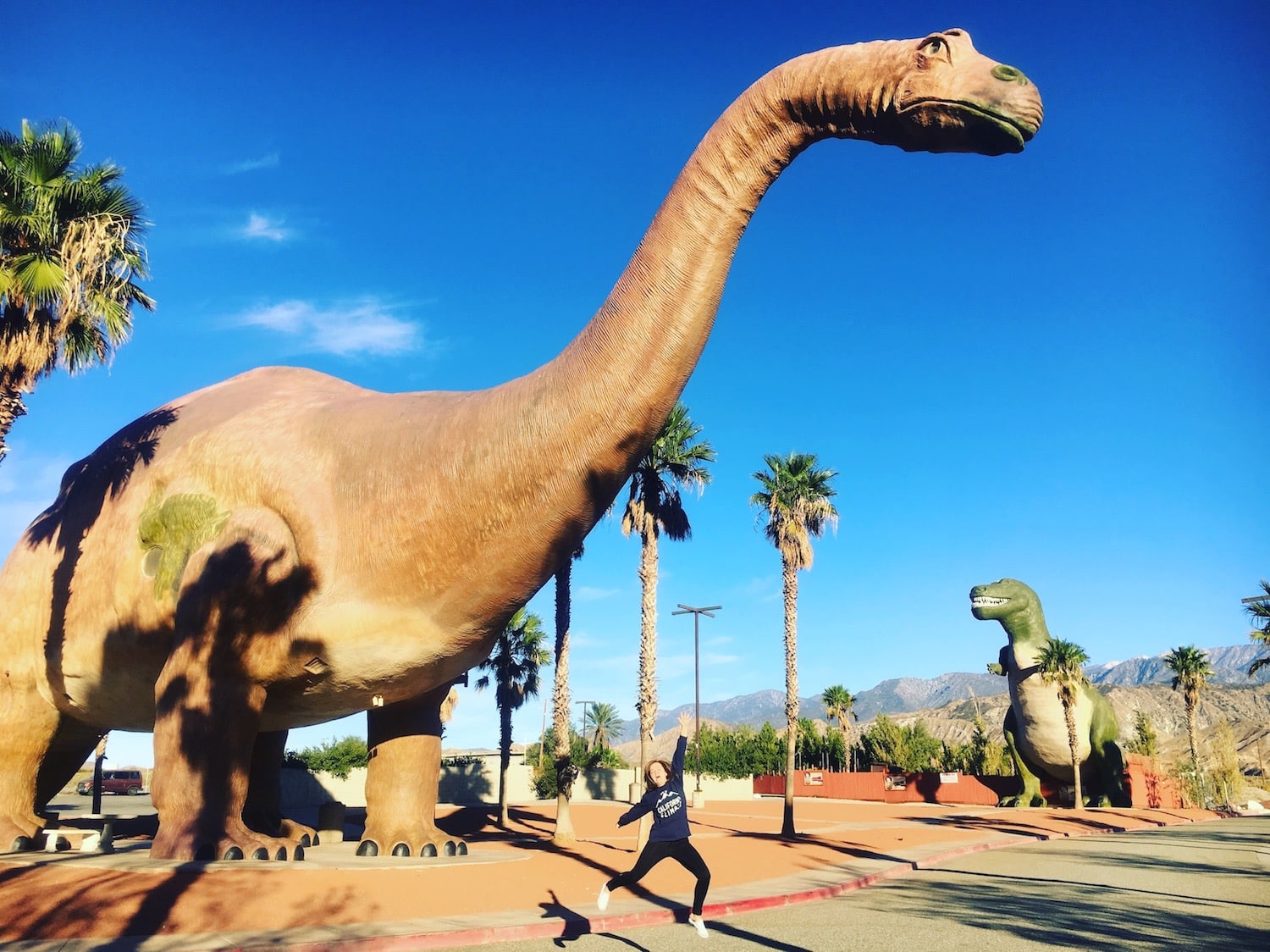 The giant Cabazon Dinosaurs in Palm Springs California.