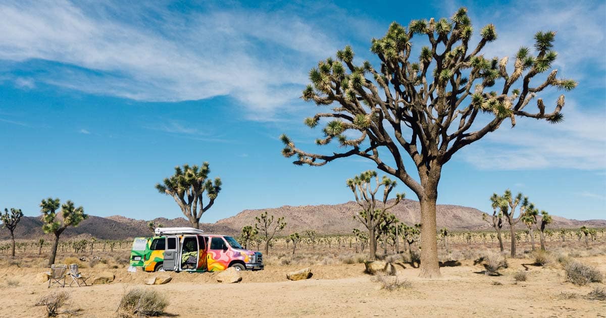 An Escape camper van on a road trip from Los Angeles to Joshua Tree National Park.