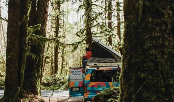 A man sitting ontop of a camper van in the woods in the Pacific Northwest