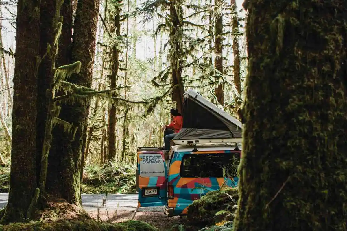 A man sitting ontop of a camper van in the woods in the Pacific Northwest