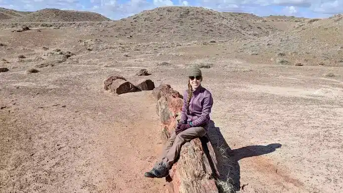 A woman sitting on a petrified tree in Petrified Forest National Park in Arizona.