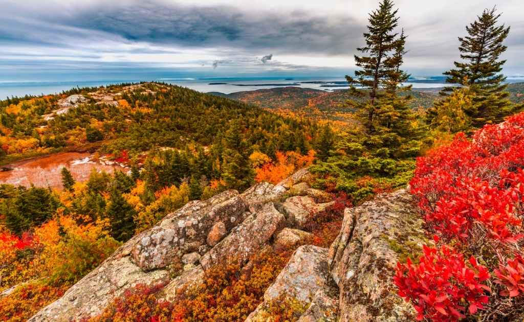 Fall Colors in Acadia National Park