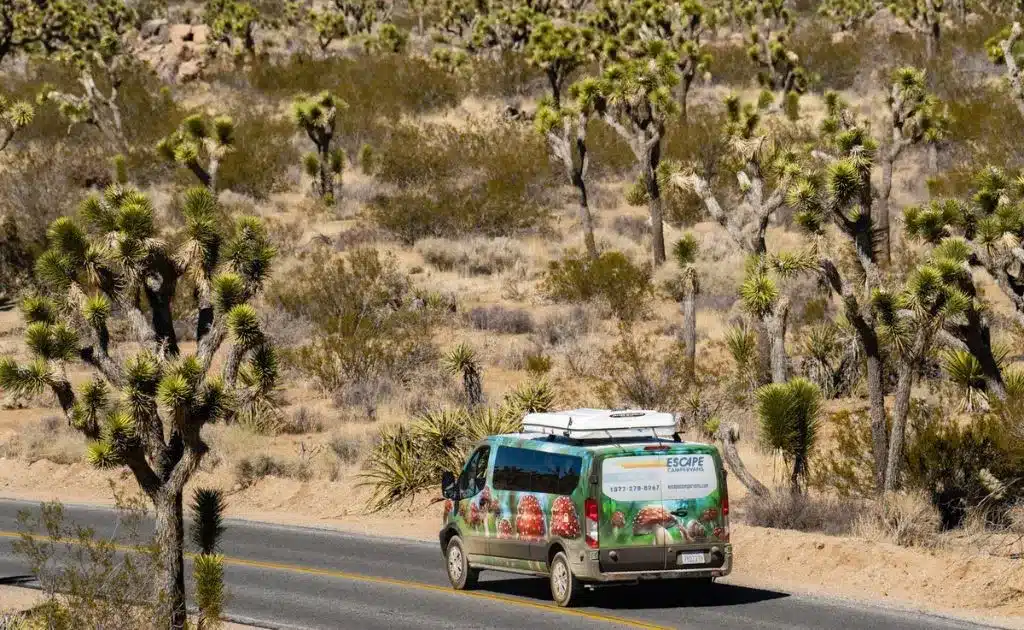 An escape camper van driving through joshua tree national park