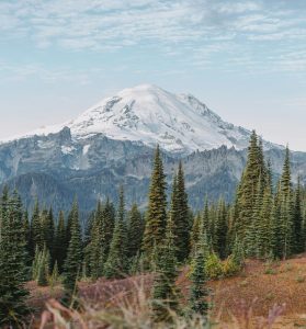 Mount Rainier National Park is the perfect Pacific Northwest road trip destination.